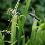 19132期体彩开奖结果及详细中奖号码公布 4l48sxo