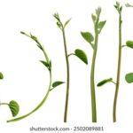 19118期体育彩票开奖结果最新公布与详细查询 8d5oqd42bd