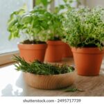 3d开奖383期精准预测与最新结果揭晓 8yvu4