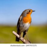 19131期体育彩票开奖结果最新公布查询 92s4evwl