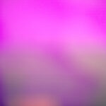 19122期体育彩票开奖结果最新公布查询 c0e3wh88