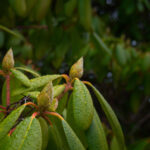 19116期开奖号码公布最新结果查询 k4h2gfi