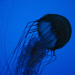 3D开奖476结果震撼公布,最新号码引发热议 mx7ay