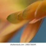 19115期足彩开奖结果揭晓:大奖花落谁家引关注 pm07m