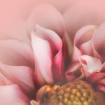 3D开奖26日重磅揭晓,幸运号码即将公布 qusuz