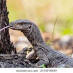 19121期双色球开奖号码正式公布 t91bgb5